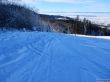 20190206-gibloux-200.jpg