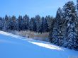 20190206-gibloux-204.jpg