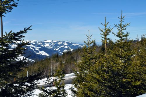 Blick nach Westen, 1. März 2010
