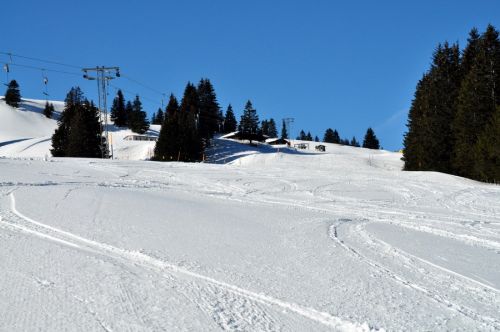 1. März 2010
