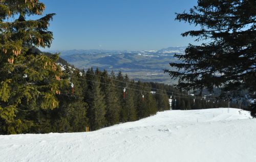 1. März 2010
