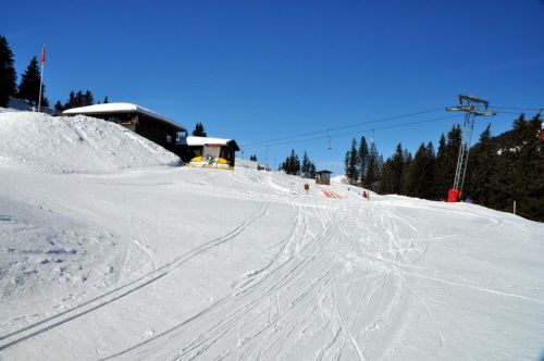 1. März 2010
