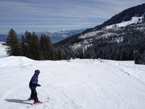 16. März 2013
