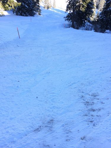 21. Januar 2015
