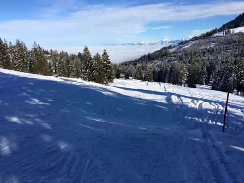 21. Januar 2015

