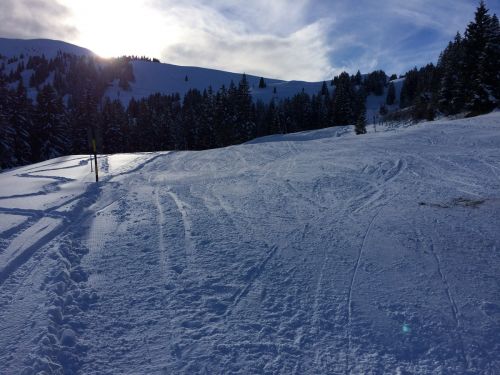 21. Januar 2015

