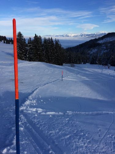 21. Januar 2015
