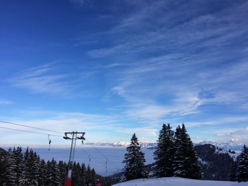 21. Januar 2015
