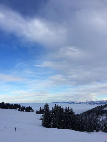 21. Januar 2015
