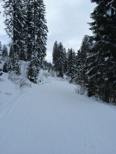 21. Januar 2015
