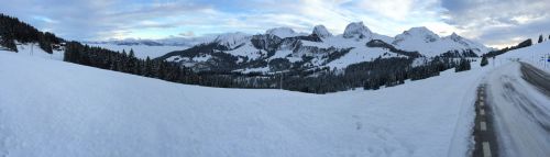 21. Januar 2015
