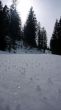 20100301-c-gurnigel-0762.jpg