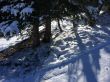 20150121-a-gurnigel-5419.jpg