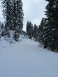 20150121-a-gurnigel-5451.jpg