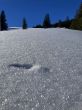 20240113-gantrisch-gurnigel-040.jpg