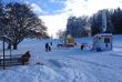 20121211-b-gurten-9730.jpg
