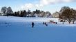 20121211-b-gurten-9733.jpg