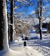 20121211-b-gurten-9748.jpg