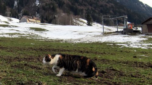 Skilift Schüpfheim
