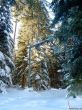 20190205-heimenschwand-050.jpg