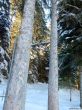 20190205-heimenschwand-053.jpg