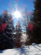 20190205-heimenschwand-115.jpg