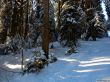 20190205-heimenschwand-156.jpg