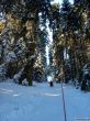 20190205-heimenschwand-157.jpg