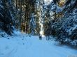 20190205-heimenschwand-164.jpg