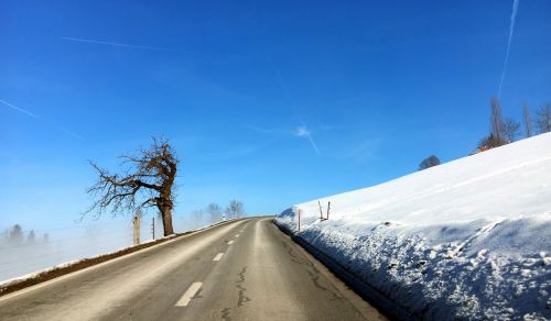 23. Januar 2017
