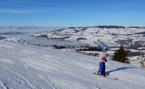 23. Januar 2017
