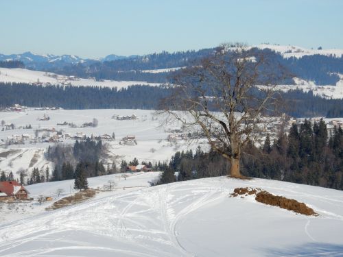 23. Januar 2017
