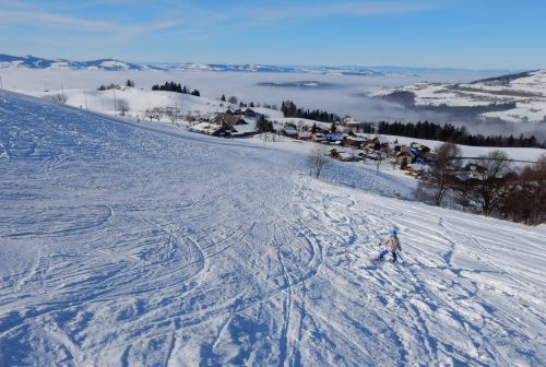 23. Januar 2017
