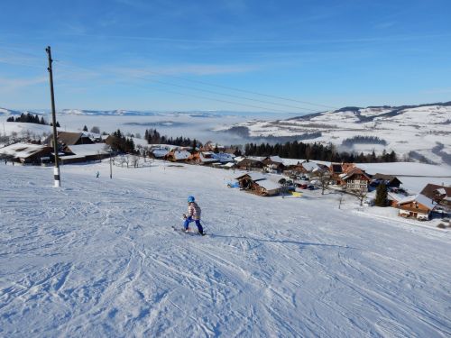 23. Januar 2017
