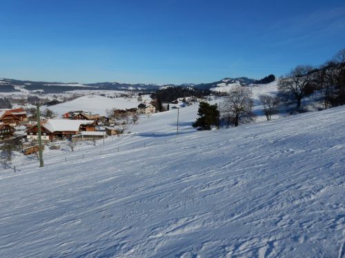23. Januar 2017
