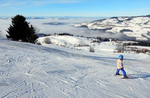 23. Januar 2017
