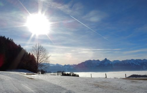23. Januar 2017
