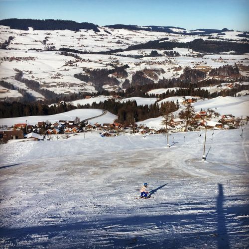 23. Januar 2017
