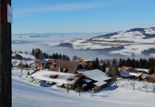 23. Januar 2017
