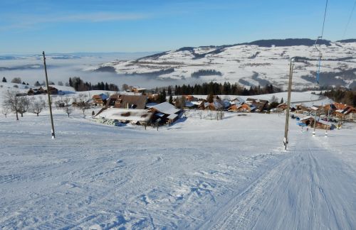 23. Januar 2017
