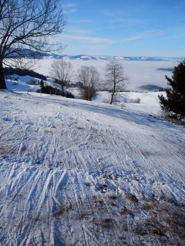 23. Januar 2017
