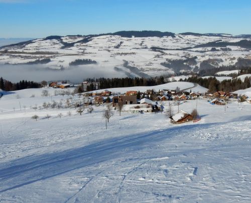 23. Januar 2017
