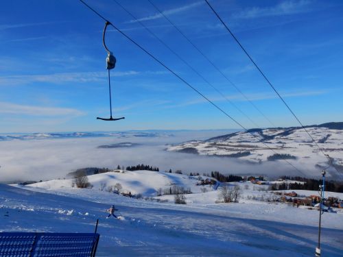23. Januar 2017

