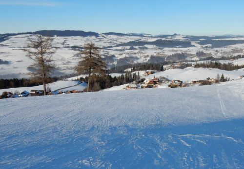 23. Januar 2017
