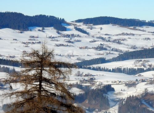 23. Januar 2017
