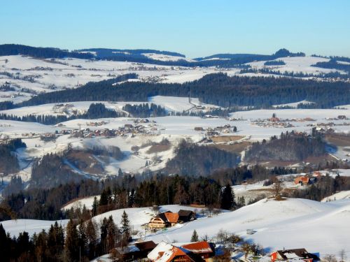 23. Januar 2017
