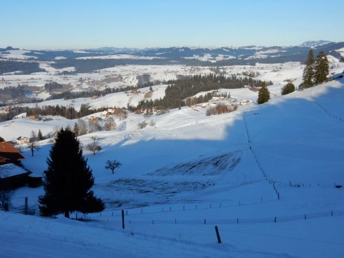 23. Januar 2017
