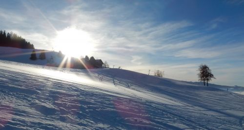 23. Januar 2017
