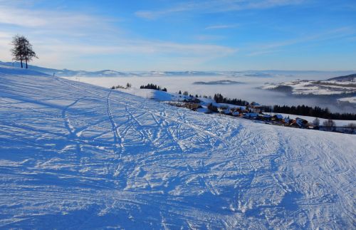 23. Januar 2017
