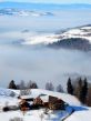 20170123-homberg-075.jpg
